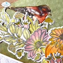 Cutting Dies & Clear Stamps - Autumn Harvest Florals