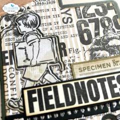 Cutting Dies & Clear Stamps - Field Notes