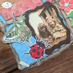 Cutting Dies & Clear Stamps - Beetles and Bugs