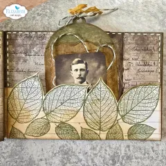 Cutting Dies & Clear Stamps - Golden Season - Golden Season