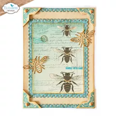 Cutting Dies & Clear Stamps - Card Maker Special Kit