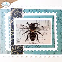 Cutting Dies & Clear Stamps - Card Maker Special Kit