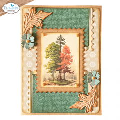 Cutting Dies & Clear Stamps - Card Maker Special Kit