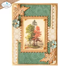 Cutting Dies & Clear Stamps - Card Maker Special Kit