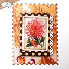 Cutting Dies & Clear Stamps - Card Maker Special Kit