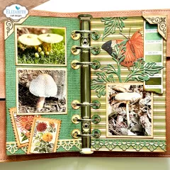 Cutting Dies & Clear Stamps - Card Maker Special Kit