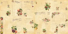 Fruit and Flora Ephemera Cards