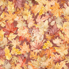 Autumn Greetings - Designpapier - Fall Foliage