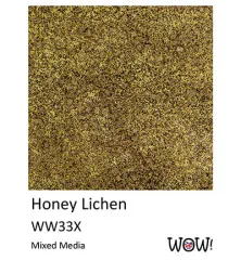 WOW! Quad Set by Seth Apter - Foraged Relics (O, T)