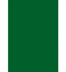 Papicolor Karton A4 - dunkelgrün