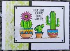 Clear Stamps Set - Succulents