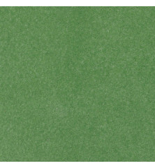 Farbmuster des WOW! Embossingpulvers Chrysolite: grüne Fläche mit feinem Schimmer