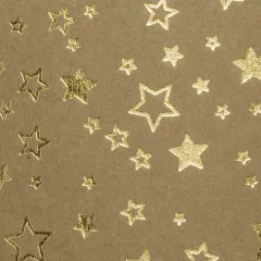 Karton-Block 'Weihnachtssterne'