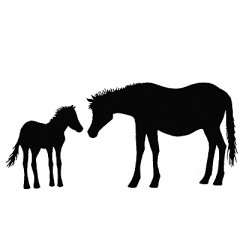 Lavinia Clear Stamps - Horse and Foal