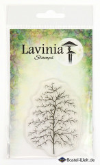 Lavinia Clear Stamps - Fern Leaf