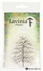 Lavinia Clear Stamps - Fern Leaf