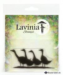 Lavinia Clear Stamps - Gaggle of Geese