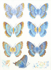 Collectables - Tinys Butterflies