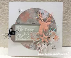 Collectables - Karins deer, stars and tag