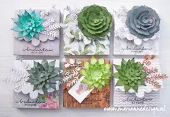 Craftables - Succulent (round)