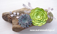 Craftables - Succulent (round)