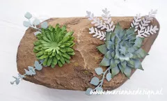 Craftables - Succulent (pointed)