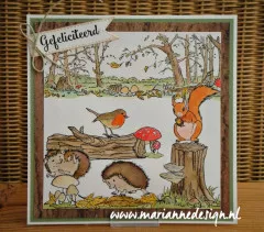 Clear Stamps - Hettys Igel