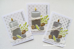 Clear Stamp and Die Set - Giftwrapping Zweige und Beeren