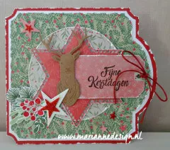 Clear Stamp and Die Set - Giftwrapping Zweige und Beeren