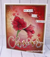 Clear Stamp and Die Set - Weihnachtslied