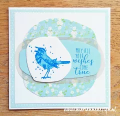 Cling Stamps - Tinys Vögel 2