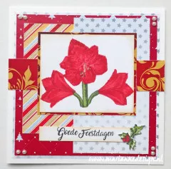 Clear Stamps - Layered Tinys amaryllis