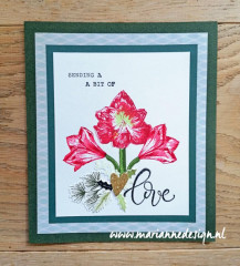 Clear Stamps - Layered Tinys amaryllis