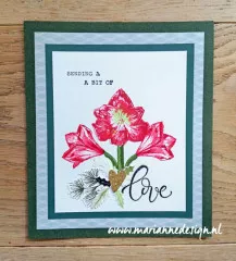 Clear Stamps - Layered Tinys amaryllis