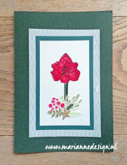 Clear Stamps - Layered Tinys amaryllis