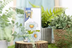 Delightful Daisies 12x12 Paper Pad