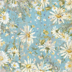 Delightful Daisies 8x8 Vellum Pad