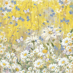 Delightful Daisies 8x8 Vellum Pad