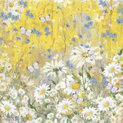 Delightful Daisies 8x8 Vellum Pad