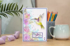 Clear Stamps and Cutting Die - Hummingbird Fragrant Florals