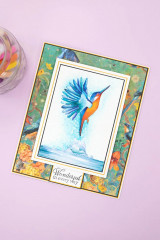 Embossing Folder - Natures Garden - Kingfisher Collection - Halcyon Daze