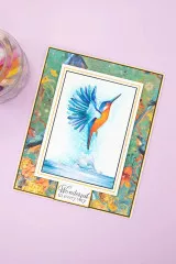 Embossing Folder - Natures Garden - Kingfisher Collection - Halcyon Daze