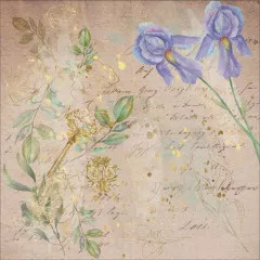 Secret Garden Collection 12x12 Paper Pad