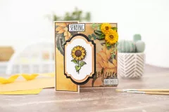 Clear Stamps - Sunkissed Wishes