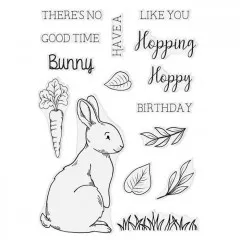 Clear Stamps and Die - Woodland Friends Woodland Bunny