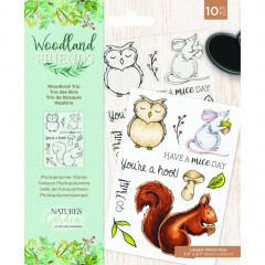 Clear Stamps - Woodland Friends Woodland Trio