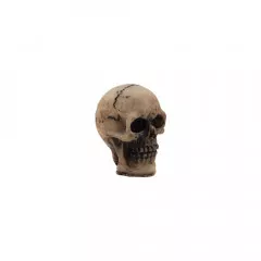 Idea-Ology Resin Skulls