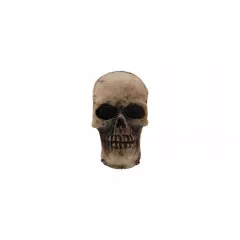 Idea-Ology Resin Skulls