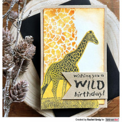 Darkroom Door Cling Stamps - Texture Giraffe