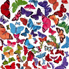 49 and Market: Spectrum Gardenia - Laser Cut Outs - Butterfly